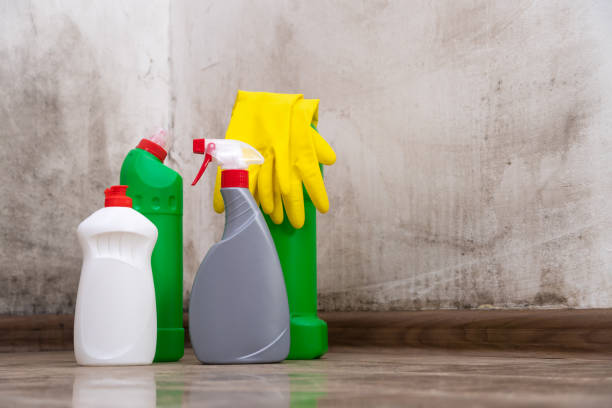 Best Mold Odor Removal Services  in Belleair Beach, FL